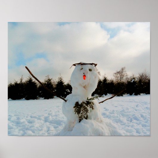 Echtes Schneemann-Foto Poster (Vorne)