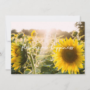 Echtes Sonnenblumen-Foto Feld Blumen sind Glück