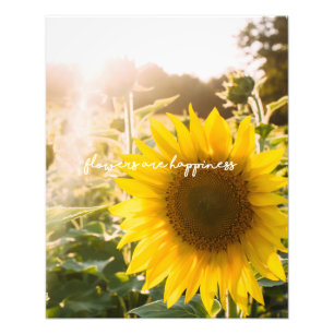 Echtes Sonnenblumen-Foto Feld Blumen sind Glück Fotodruck