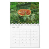 Eclectic Fun Gnomes Angels Polnischer Kalender 202 (Mär 2027)