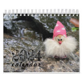 Eclectic Fun Gnomes Angels Polnischer Kalender 202 (Titelbild)