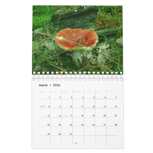 Eclectic Fun Gnomes Angels Polnischer Kalender 202 (Mär 2026)