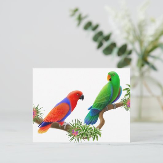 Eclectus Birds Postcard Postkarte (Stehend Vorderseite)