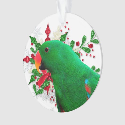 Eclectus Heiligengeist Ornament (Vorderseite)