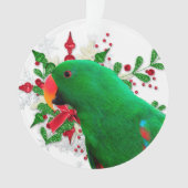 Eclectus Heiligengeist Ornament (Vorderseite)