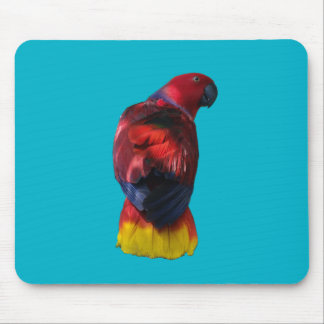 Eclectus Mousepad