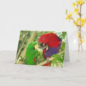 Eclectus Paare Karte (Gelbe Blume)