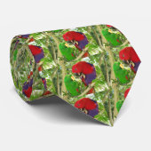 Eclectus Paare Krawatte (Gerollt)