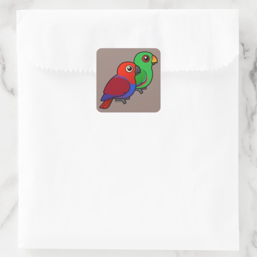 Eclectus Pair Quadratischer Aufkleber (Tasche)