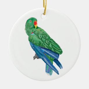 Eclectus Papageien-Verzierung Keramik Ornament