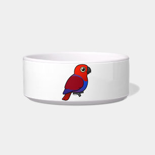 Eclectus Papageienfrau Napf