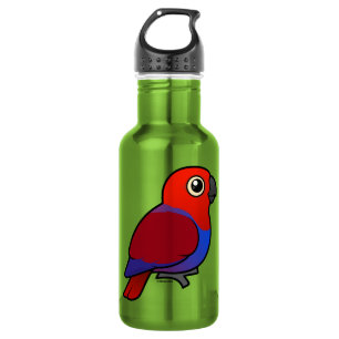Eclectus Papageienfrau Trinkflasche