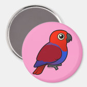 Eclectus Parrot Magnet (Vorderseite/Rückseite)