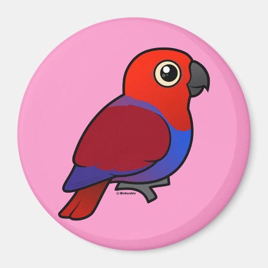 Eclectus Parrot Magnet (Vorne)