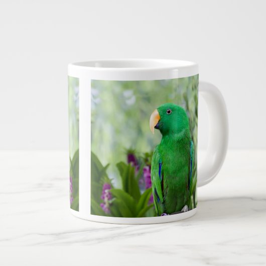 Eclectus Parrot Male Jumbo-Tasse (Vorderseite Rechts)