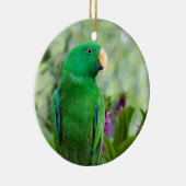 Eclectus Parrot Male Keramik Ornament (Rechts)