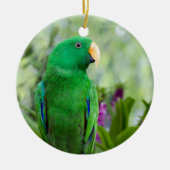 Eclectus Parrot Male Keramik Ornament (Vorne)