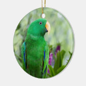 Eclectus Parrot Male Keramik Ornament (Links)