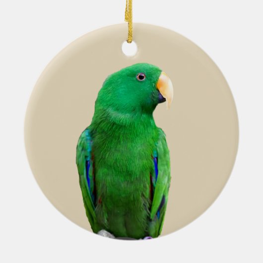 Eclectus Parrot Male Keramik Ornament (Hinten)