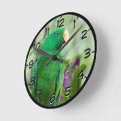 Eclectus Parrot Male Runde Wanduhr (Winkel)