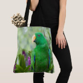 Eclectus Parrot Male Tasche (Von Nahem)