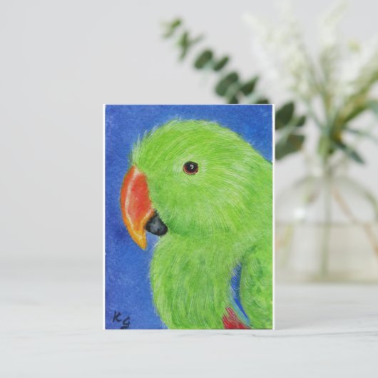 Eclectus Parrot Postkarte (Stehend Vorderseite)