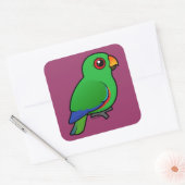 Eclectus Parrot Quadratischer Aufkleber (Umschlag)
