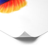 Eclectus Parrots & Bromeliads Printwerbung Poster (Ecke)