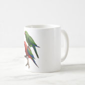 Eclectus Parrots Kaffeetasse (VorderseiteRechts)