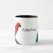 Eclectus plappert Tasse nach (Zentrum)