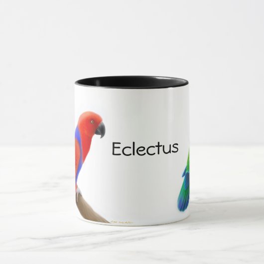 Eclectus plappert Tasse nach (Zentrum)