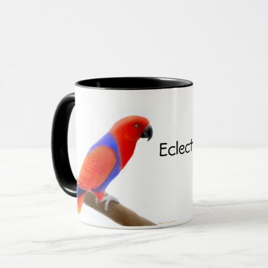 Eclectus plappert Tasse nach (Vorderseite Links)