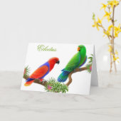 Eclectus Vogel-Gruß-Karte Karte (Gelbe Blume)