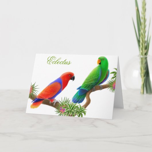 Eclectus Vogel-Gruß-Karte Karte (Vorderseite)