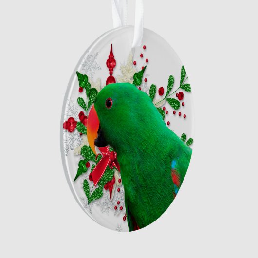 Eclectus Weihnachtsgeist Ornament (Vorderseite)