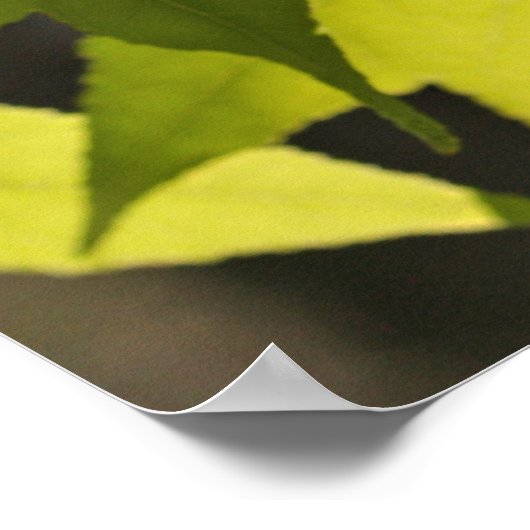 Eclesiastes 3:1 con Hojas Poster (Ecke)