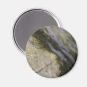 Eclipse Magnet (Vorderseite/Rückseite)