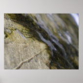 Eclipse Poster (Vorne)