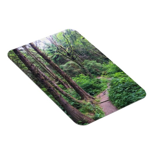 Ecola State Park, Cannon Beach Magnet (Rechte Seite)