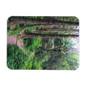 Ecola State Park, Cannon Beach Magnet (Horizontal)