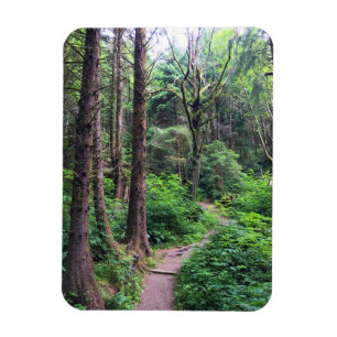 Ecola State Park, Cannon Beach Magnet
