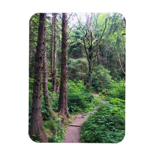 Ecola State Park, Cannon Beach Magnet (Vertikal)