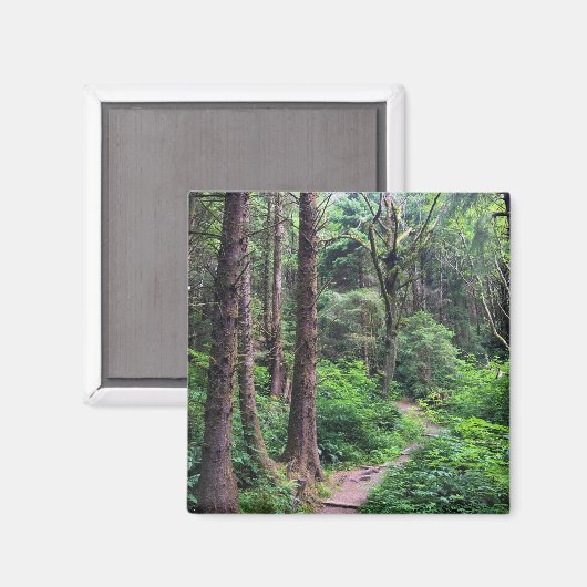 Ecola State Park, Cannon Beach Magnet (Vorderseite/Rückseite)