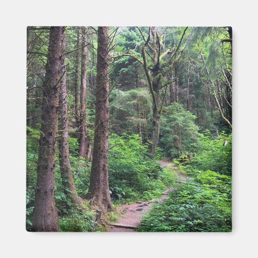 Ecola State Park, Cannon Beach Magnet (Vorne)
