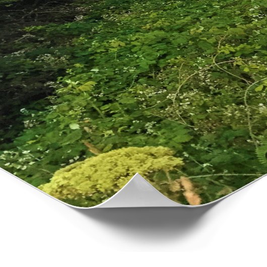 Ecola State Park, Cannon Beach Poster (Ecke)