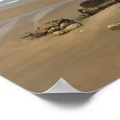 Ecola State Park, Cannon Beach Poster (Ecke)