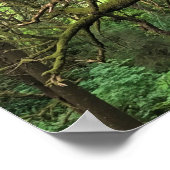 Ecola State Park, Cannon Beach Poster (Ecke)