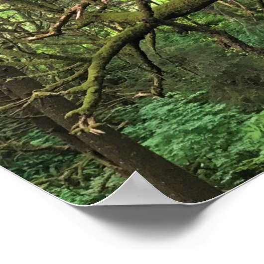 Ecola State Park, Cannon Beach Poster (Ecke)