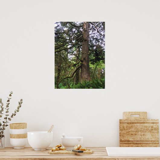 Ecola State Park, Cannon Beach Poster (Küche)