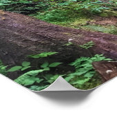 Ecola State Park, Cannon Beach Poster (Ecke)